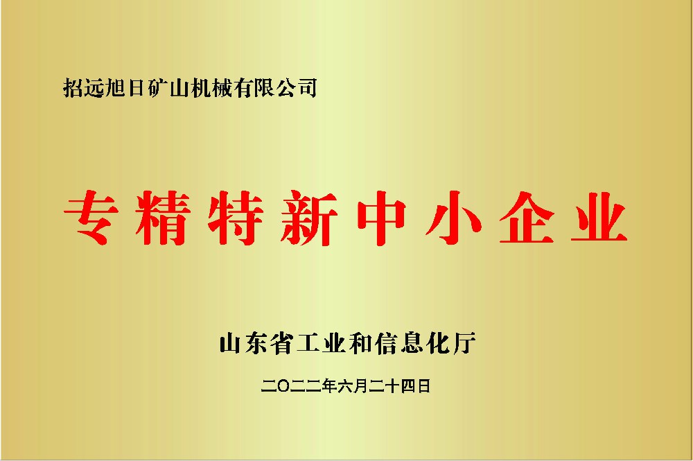 專(zhuān)精特新中小企業(yè)